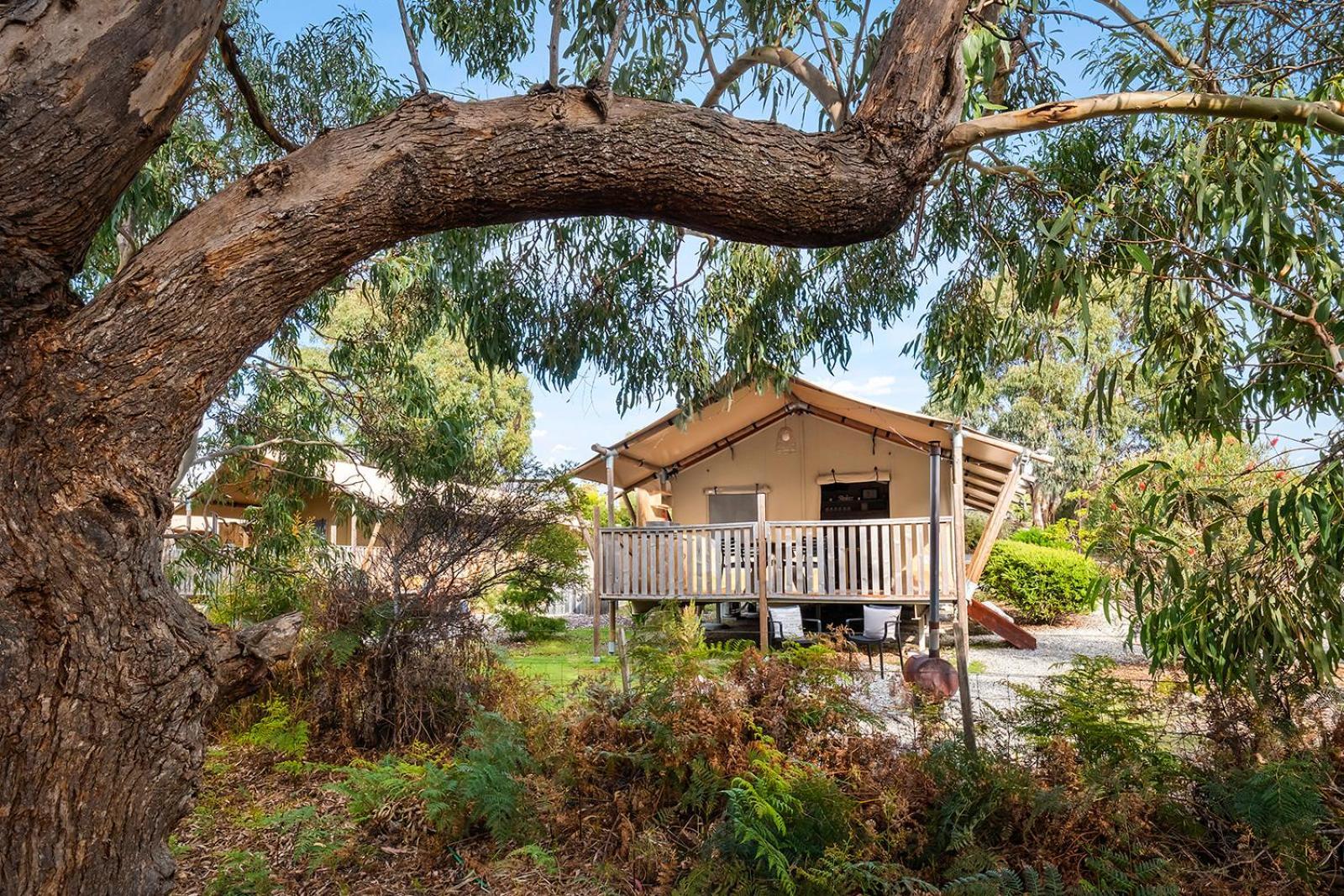 Scamander Sanctuary Holiday Park Kültér fotó